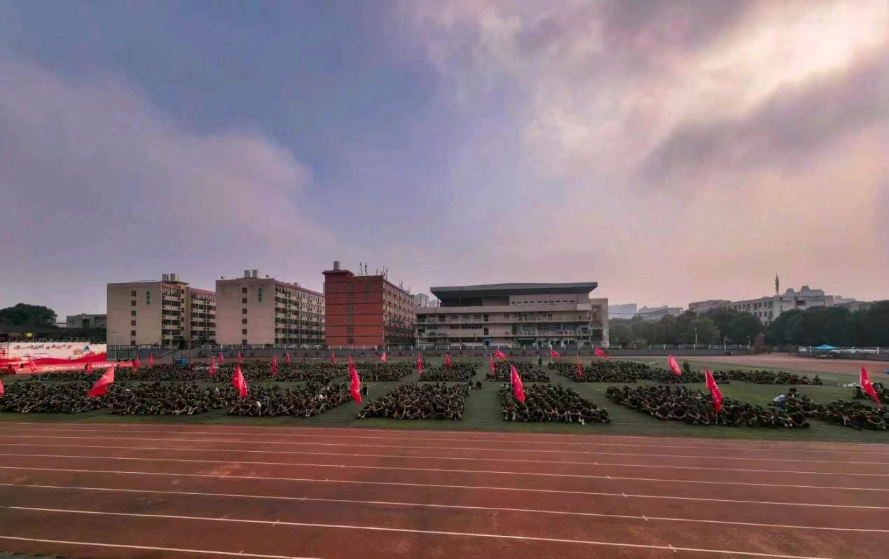 95.jpg
